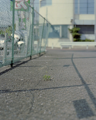 HIGUTHI/2003_01