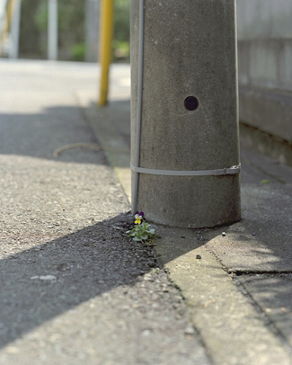 HIGUTHI/2003_01