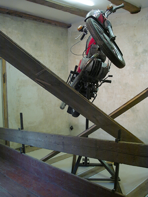 leaves Exhibition image